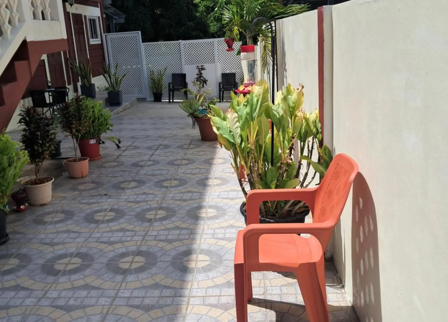 בית אירוח סקרבורו Breadfruit Lodge